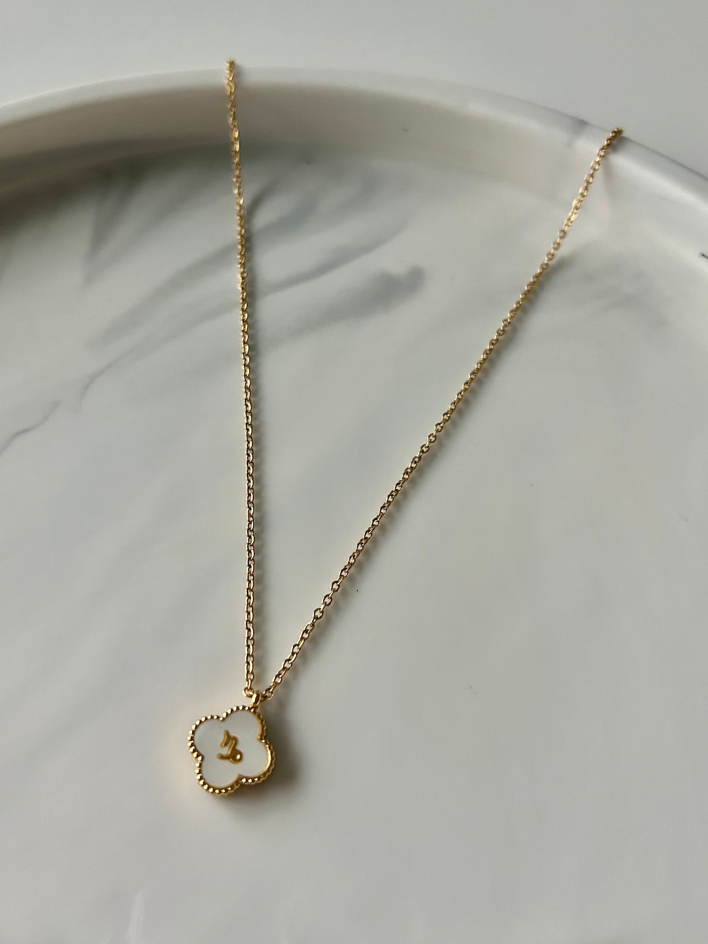 Colliers SIGNES ASTRO WHITE ✨