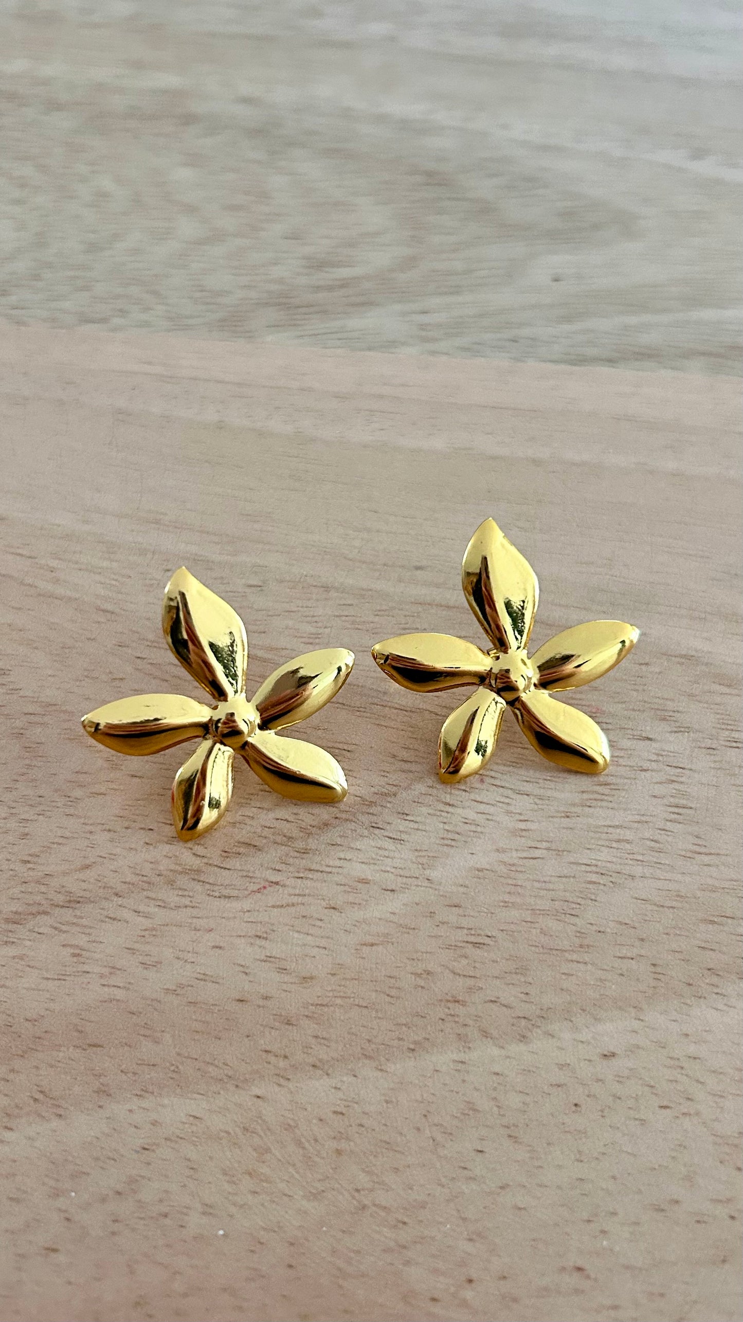 Boucles d’oreilles ANISSA