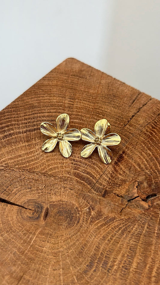 Boucles d'oreilles ELORA