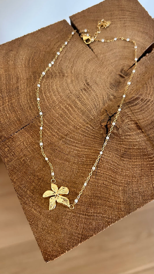 Collier NYLA
