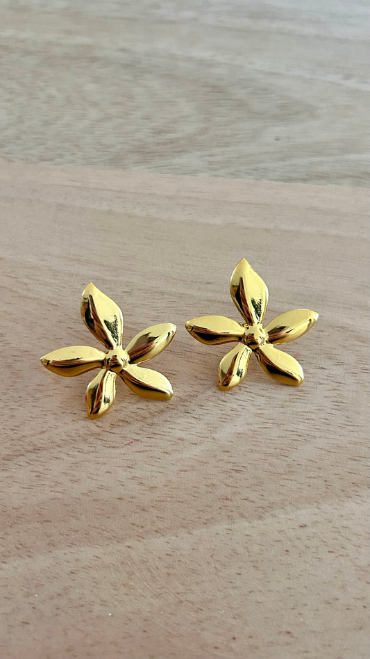 Boucles d’oreilles ANISSA