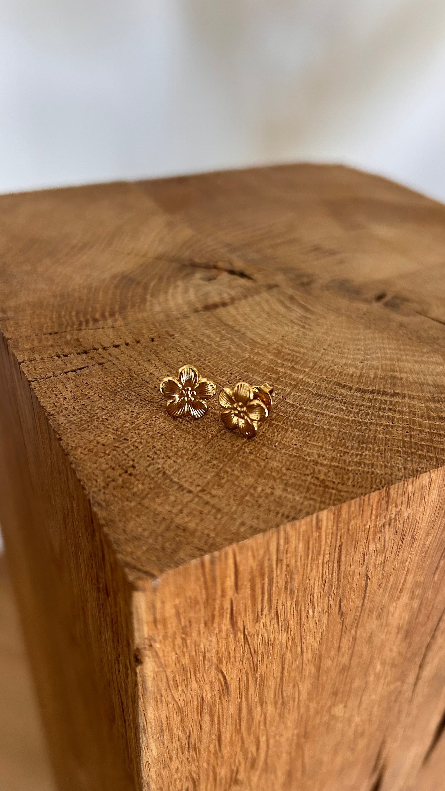 Boucles d'oreilles ENORA